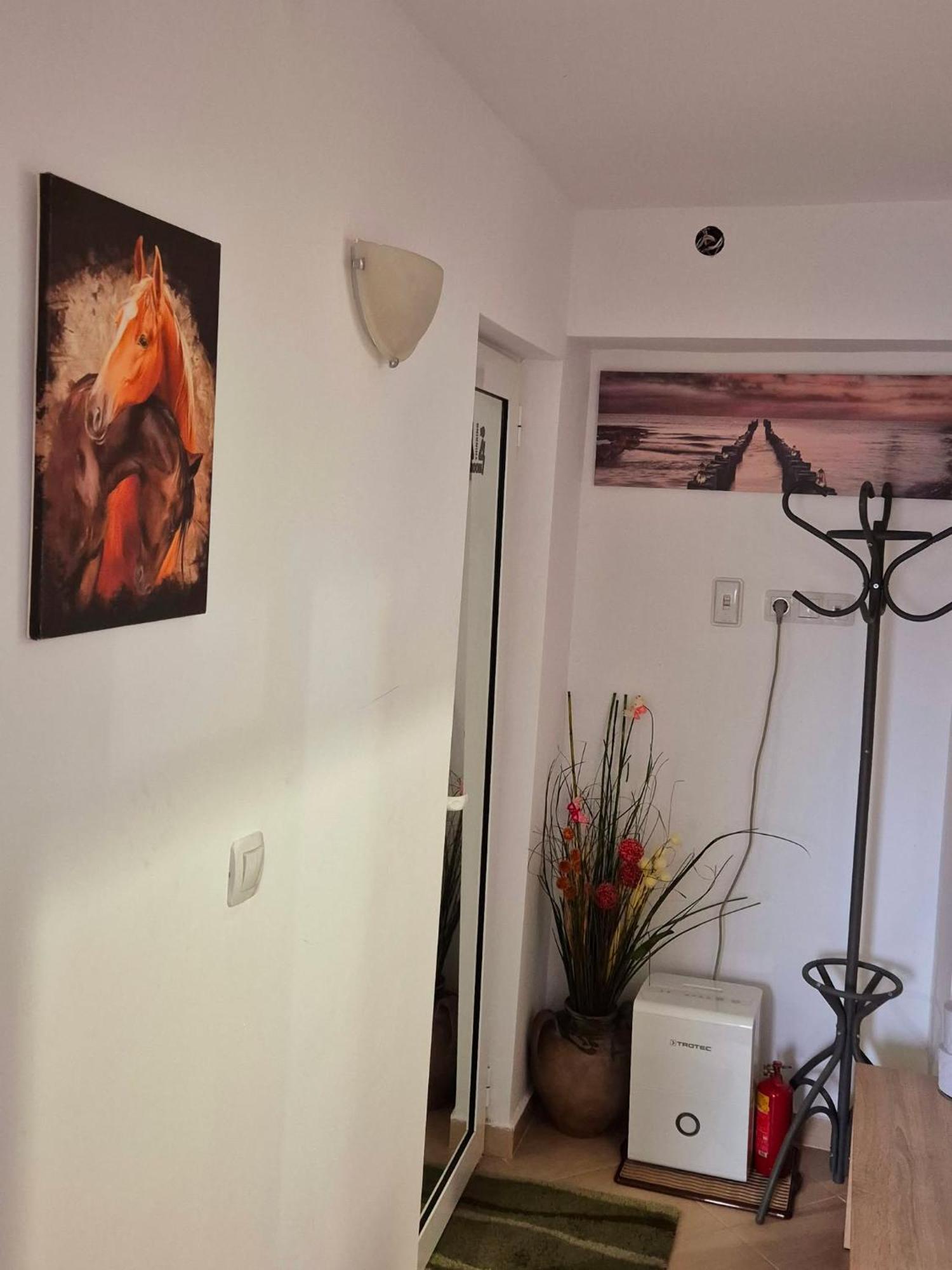 Apartment Shesti Uchastak ガブロヴォ エクステリア 写真